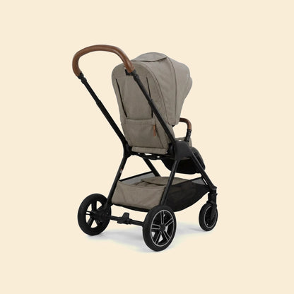Stroller With Reversible Handle