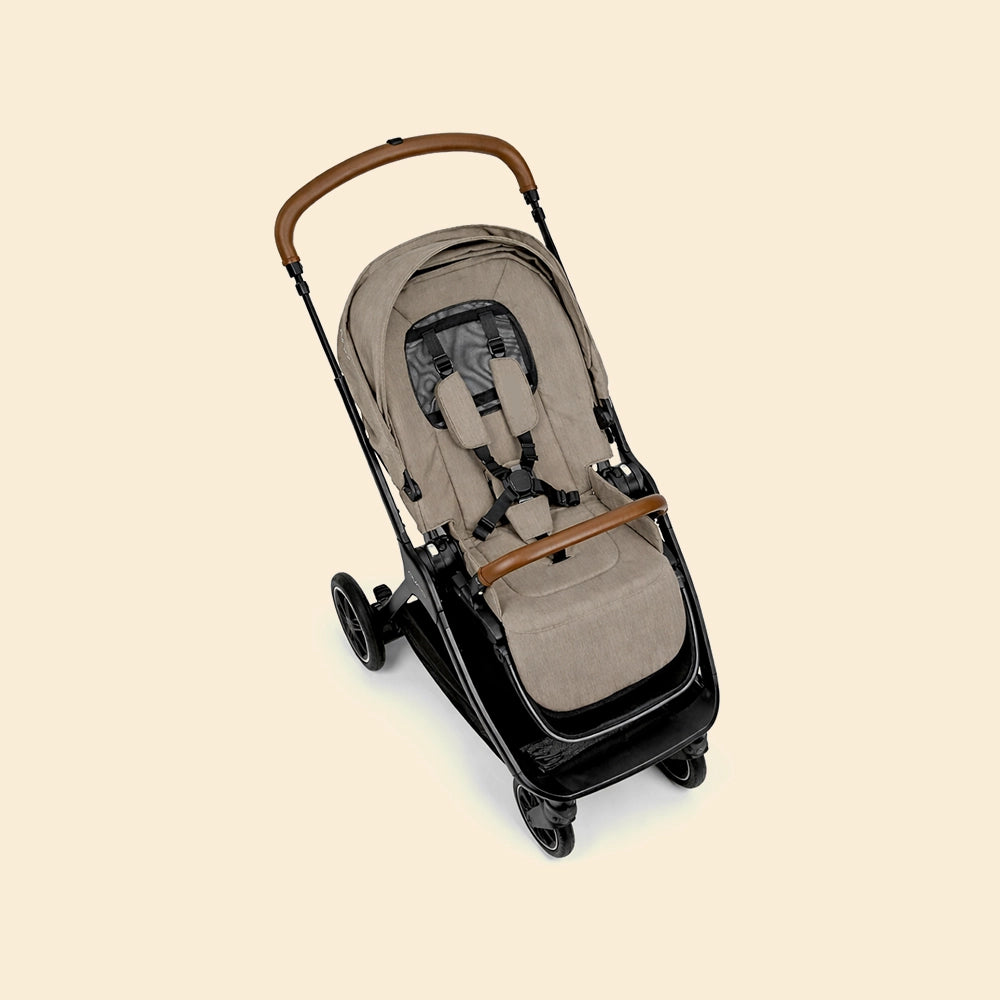 Stroller With Reversible Handle